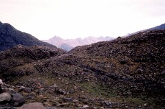 1981_CEH4851_B518