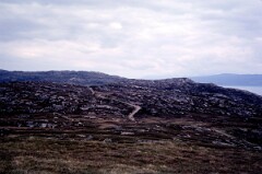 1981_CEH4866_B533