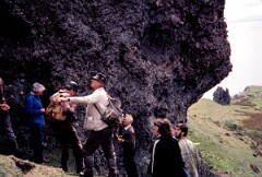 1981_CEH4868_B535