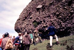 1981_CEH4869_B536