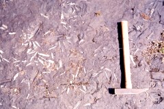 1981_CEH4871_B538