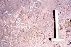 1981_CEH4872_B539