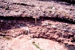 1981_CEH4873_B540