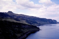 1981_CEH4874_B541