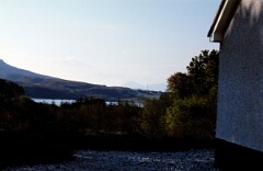 1981_CEH4877_B544
