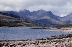 1981_CEH4879_B546