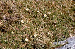 1981_CEH4881_B548
