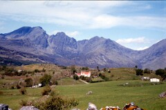 1981_CEH4887_B554