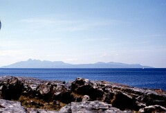 1981_CEH4888_B555