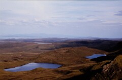1981_CEH4903_B570