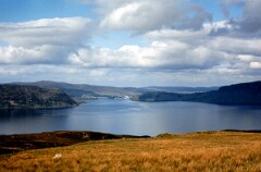 1981_CEH4914_B581