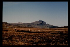 1992_0005791_B626