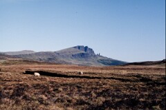1992_CEH4959_B625