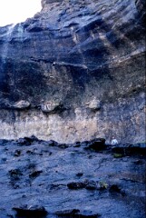 1992_CEH4969_B635