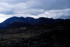 1992_CEH5001_B667