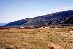 1992_CEH5010_B676