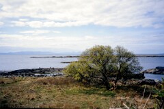 1992_CEH5015_B681