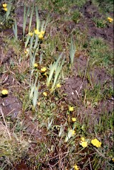 1992_CEH5017_B683