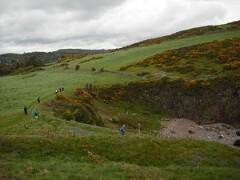 IMG_ 007