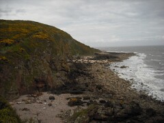 IMG_ 015