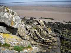 IMG_ 022