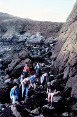 1988_CEH6819_H088