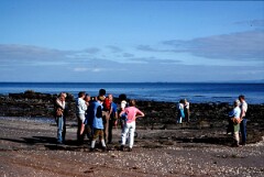 1988_CEH6824_H093