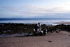 1988_CEH6825_H094