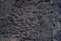 1988_CEH6839_H109