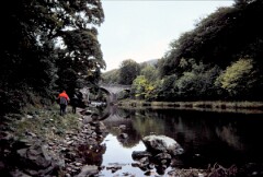 1988_CEH6842_H112