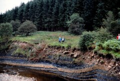 1988_CEH6843_H113