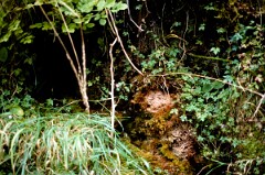 1988_CEH6845_H115