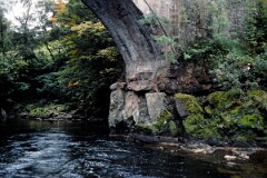 1988_CEH6846_H116
