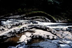 1988_CEH6847_H117