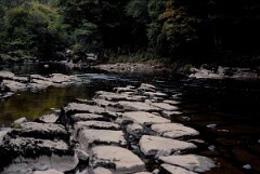 1988_CEH6848_H118