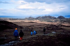 1983_CEH6021_F030