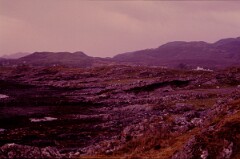 1983_CEH6024_F033