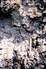 1983_CEH6032_F041