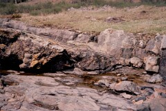 1983_CEH6035_F044