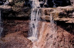 1983_CEH6039_F048