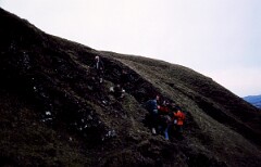 1983_CEH6043_F052