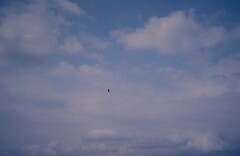 1983_CEH6054_F063