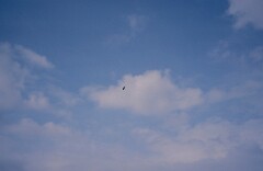 1983_CEH6055_F064