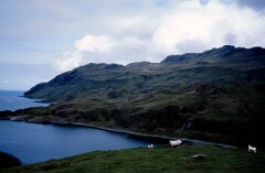 1983_CEH6058_F067