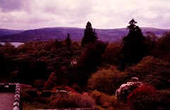 1983_CEH6059_F068