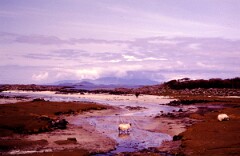 1983_CEH6060_F069