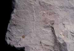 1983_CEH6081_F088