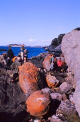 1975_CEH5307_D004