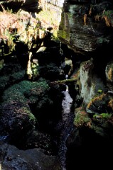 1991_CEH6954_H232