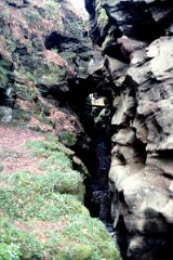 1991_CEH6959_H237